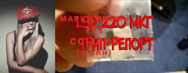 соль ск Белокуриха
