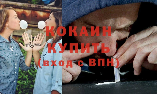 соль ск Белокуриха