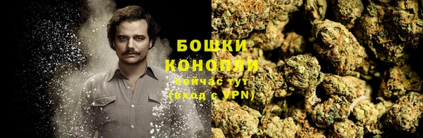spice Беломорск