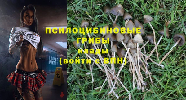 соль ск Белокуриха