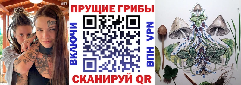 OMG ONION Мглин darknet телеграм Псилоцибиновые грибы Magic Shrooms