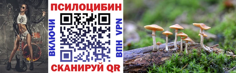 Псилоцибиновые грибы мицелий Мглин